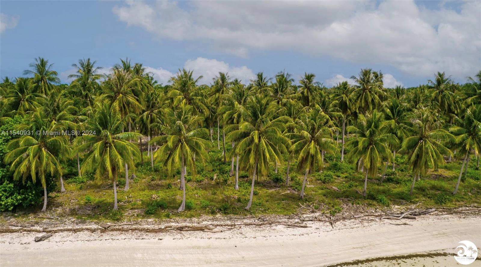 Silom Hotel and Resort Balabac, Palawan, PHILIPPIN, Philippine, ,Land,For Sale,Silom Hotel and Resort Balabac, Palawan, PHILIPPIN,A11540931
