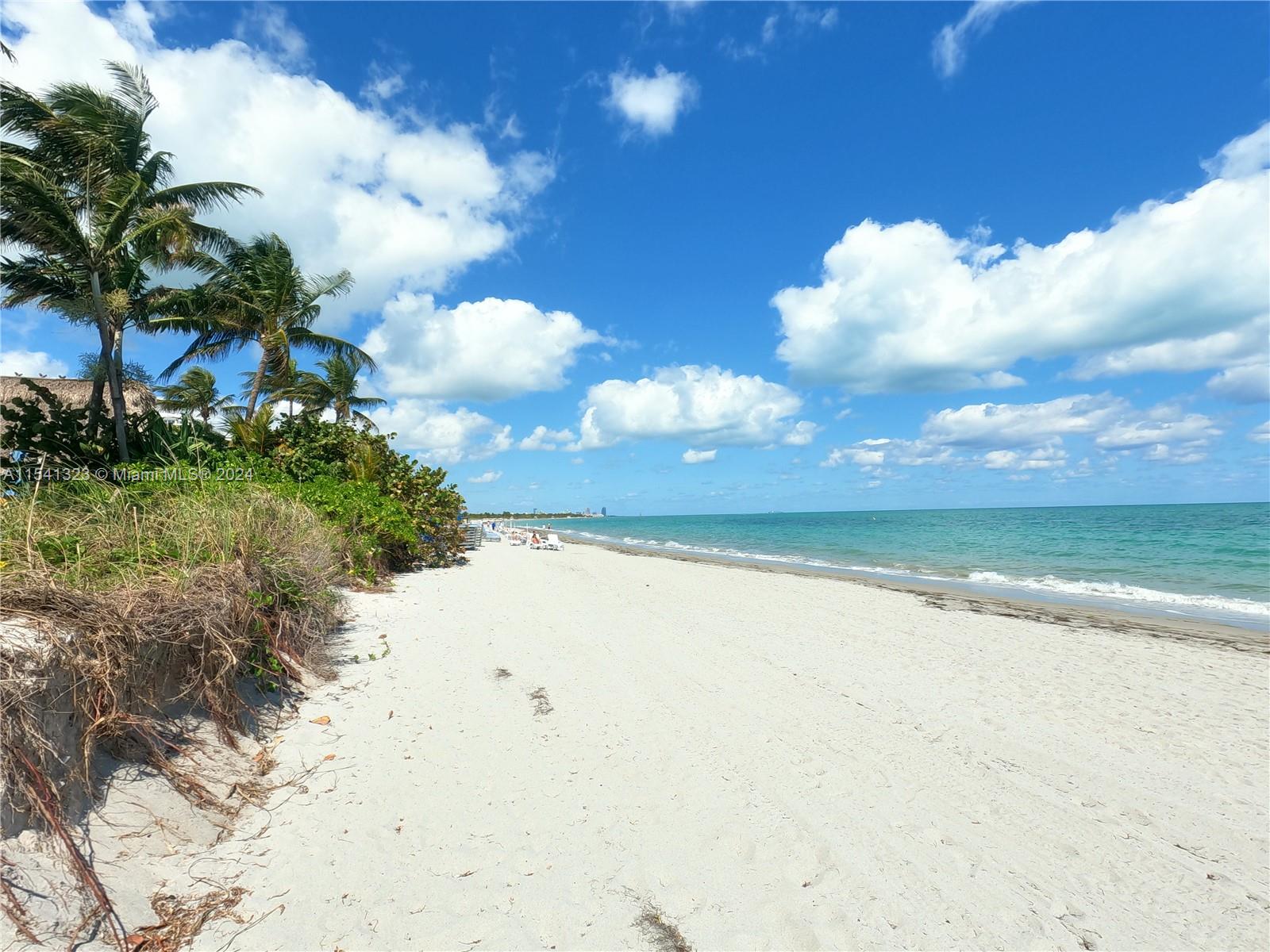 240 Galen Dr 216, Key Biscayne, Florida 33149, 1 Bedroom Bedrooms, ,1 BathroomBathrooms,Residential,For Sale,240 Galen Dr 216,A11541323