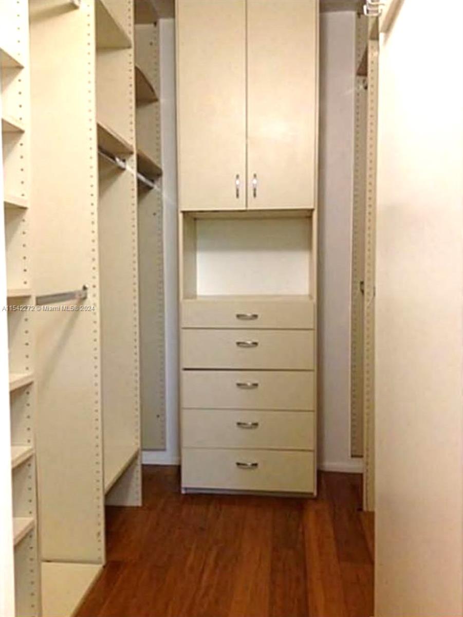 Master Walk-In closet