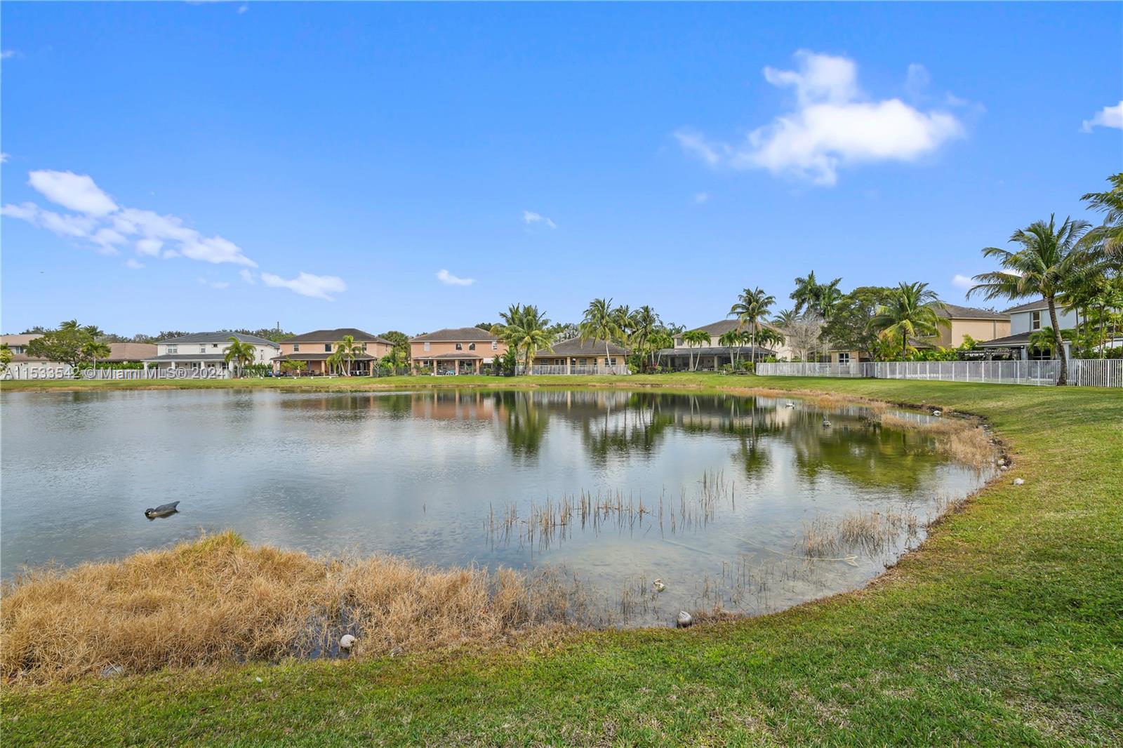 19251 Hibiscus St, Weston, FL, 33332 United States, 5 Bedrooms Bedrooms, ,3 BathroomsBathrooms,Residential,For Sale,Hibiscus St,A11533542