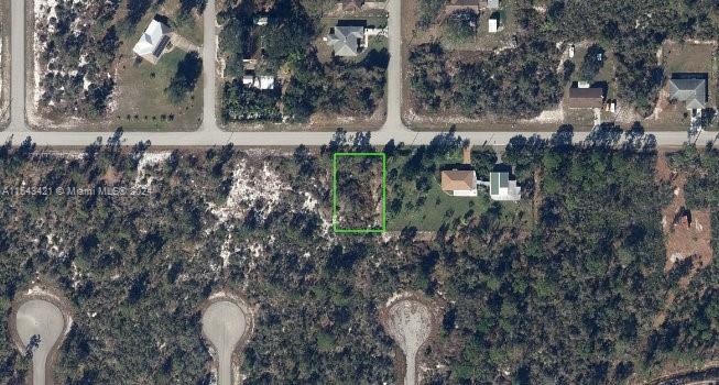 425 Lincoln, Lake Placid, FL 33852