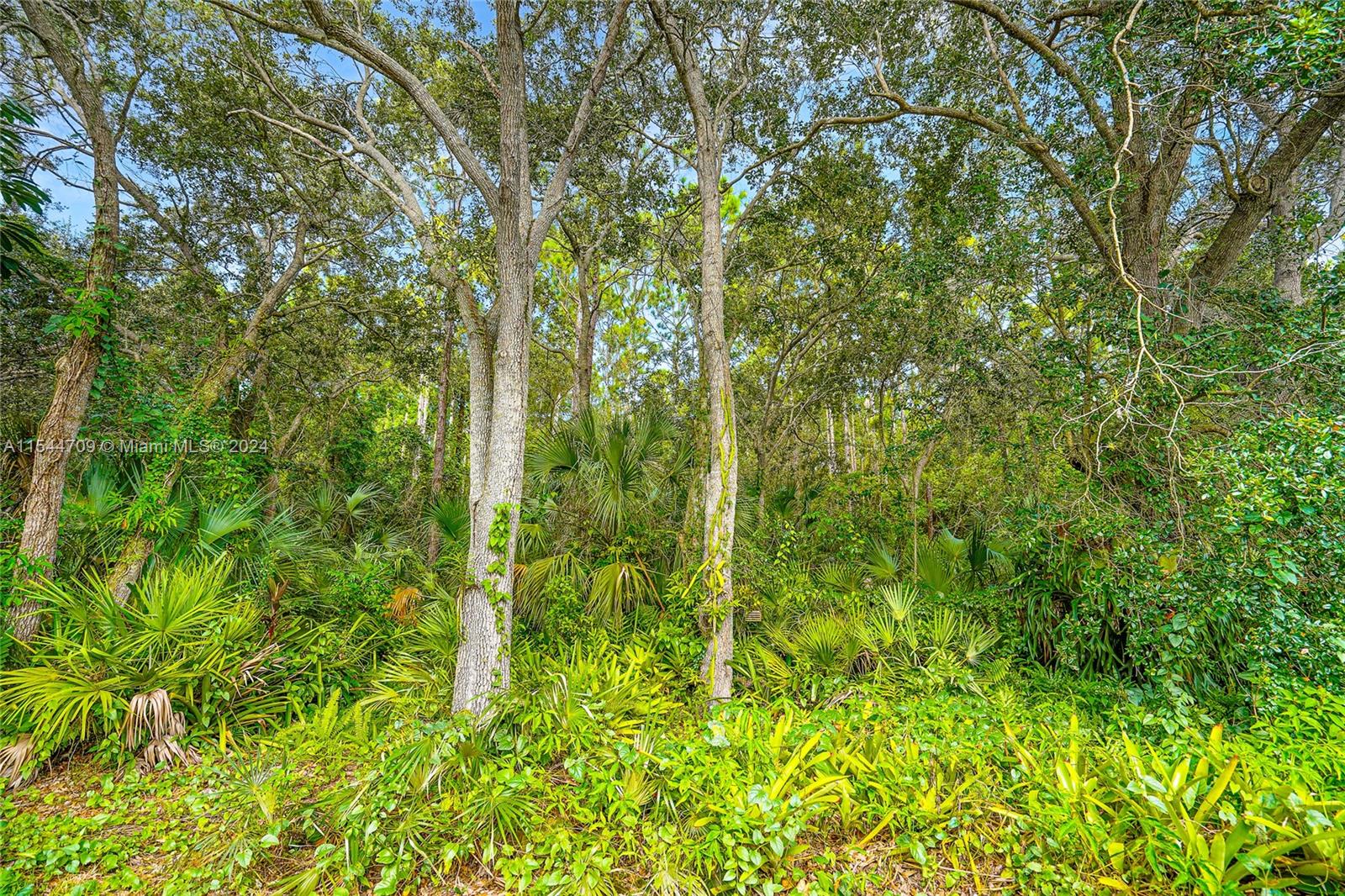 26502 SW 173rd Pl, Homestead, Florida 33031, 4 Bedrooms Bedrooms, ,2 BathroomsBathrooms,Residential,For Sale,26502 SW 173rd Pl,A11544709