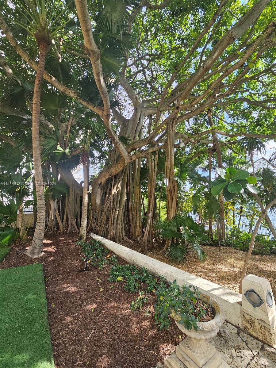 1643 Brickell Ave, Miami, FL, 33129 United States, 3 Bedrooms Bedrooms, ,4 BathroomsBathrooms,Residential,For Sale,Brickell Ave,A11544912