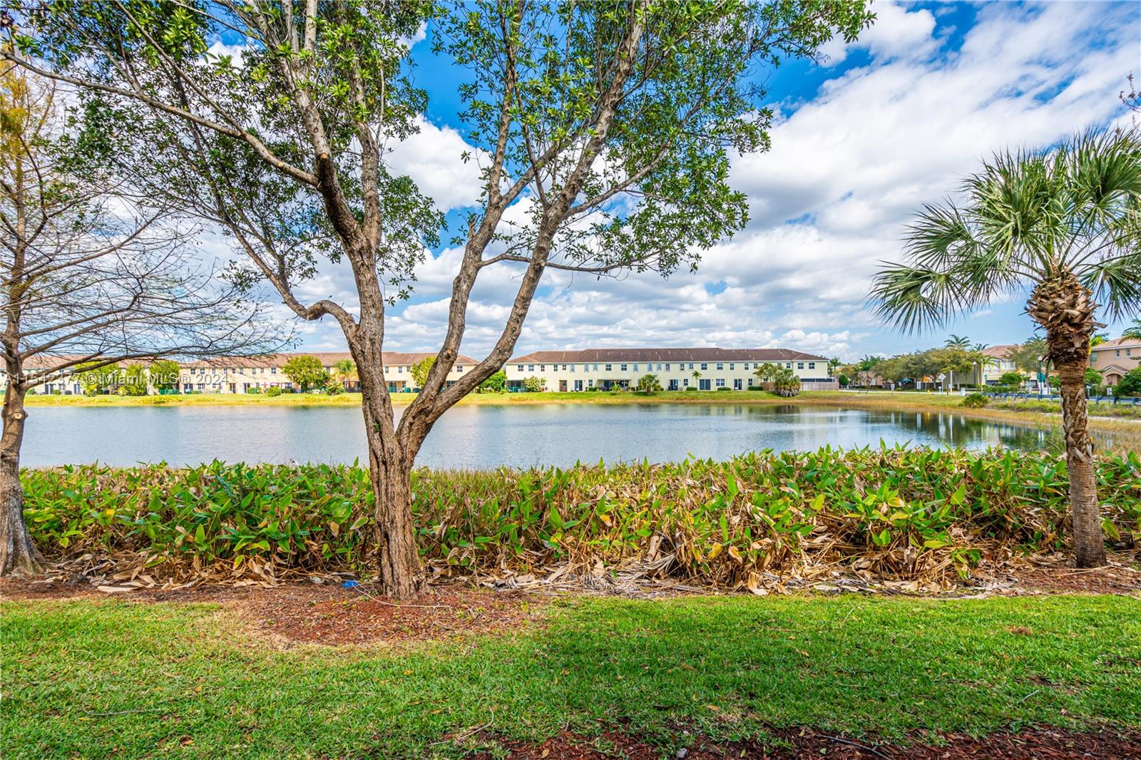 2451 SE 19th St, Homestead, Florida 33035, 3 Bedrooms Bedrooms, ,2 BathroomsBathrooms,Residential,For Sale,2451 SE 19th St,A11542377