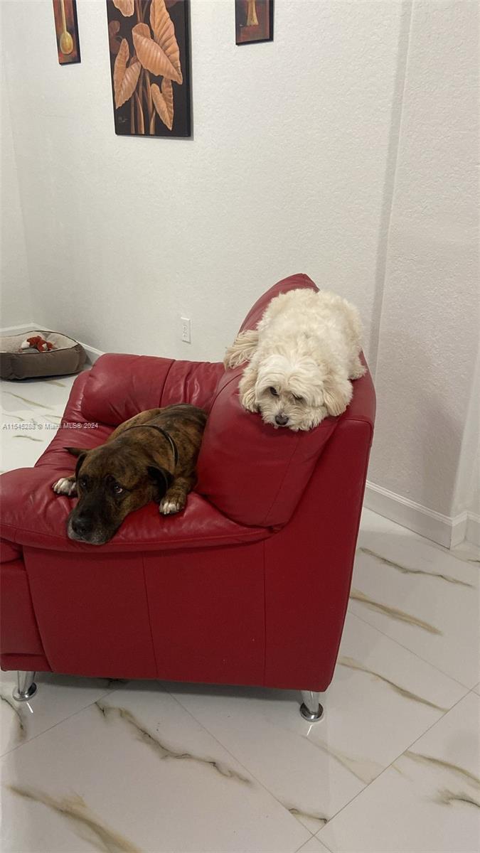 1081 SE 23rd Ave, Homestead, Florida 33035, 3 Bedrooms Bedrooms, ,2 BathroomsBathrooms,Residential,For Sale,1081 SE 23rd Ave,A11545288