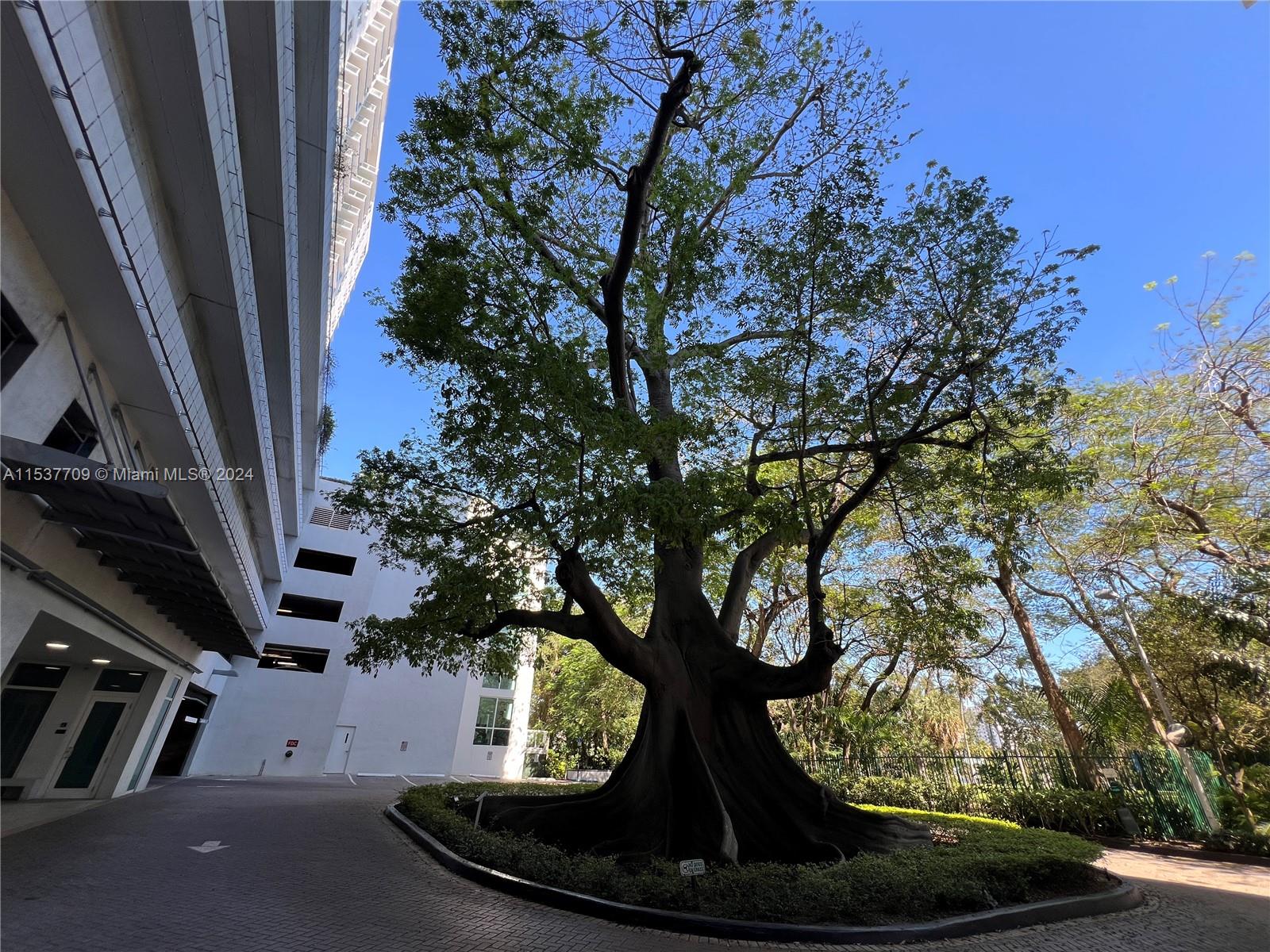 1871 NW S River Dr 1202, Miami, Florida 33125, 1 Bedroom Bedrooms, ,2 BathroomsBathrooms,Residential,For Sale,1871 NW S River Dr 1202,A11537709