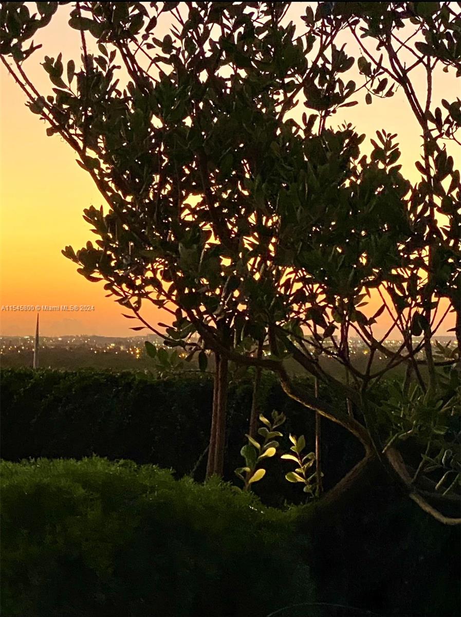 720 Coral Way PH14P, Coral Gables, Florida 33134, 1 Bedroom Bedrooms, ,1 BathroomBathrooms,Residential,For Sale,720 Coral Way PH14P,A11545800