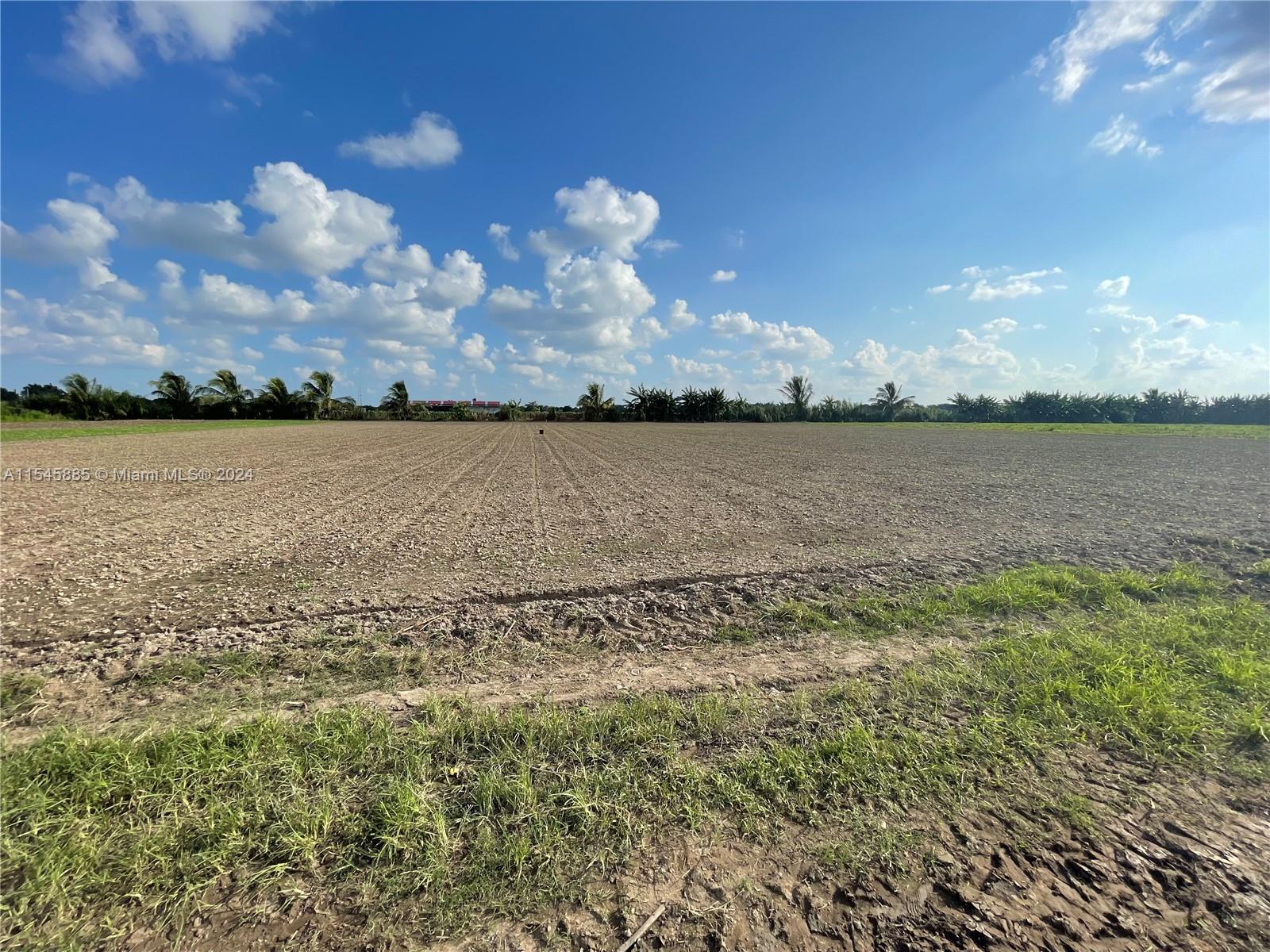 15200 SW 197th Avenue, Miami, Florida 33187, ,Land,For Sale,15200 SW 197th Avenue,A11545885