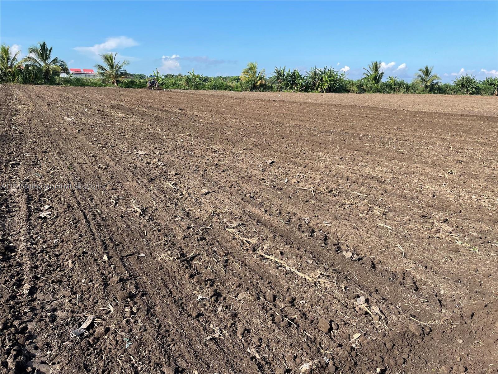 15200 SW 197th Avenue, Miami, Florida 33187, ,Land,For Sale,15200 SW 197th Avenue,A11545885