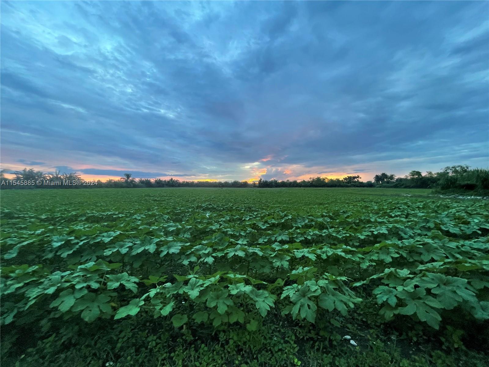 15200 SW 197th Avenue, Miami, Florida 33187, ,Land,For Sale,15200 SW 197th Avenue,A11545885