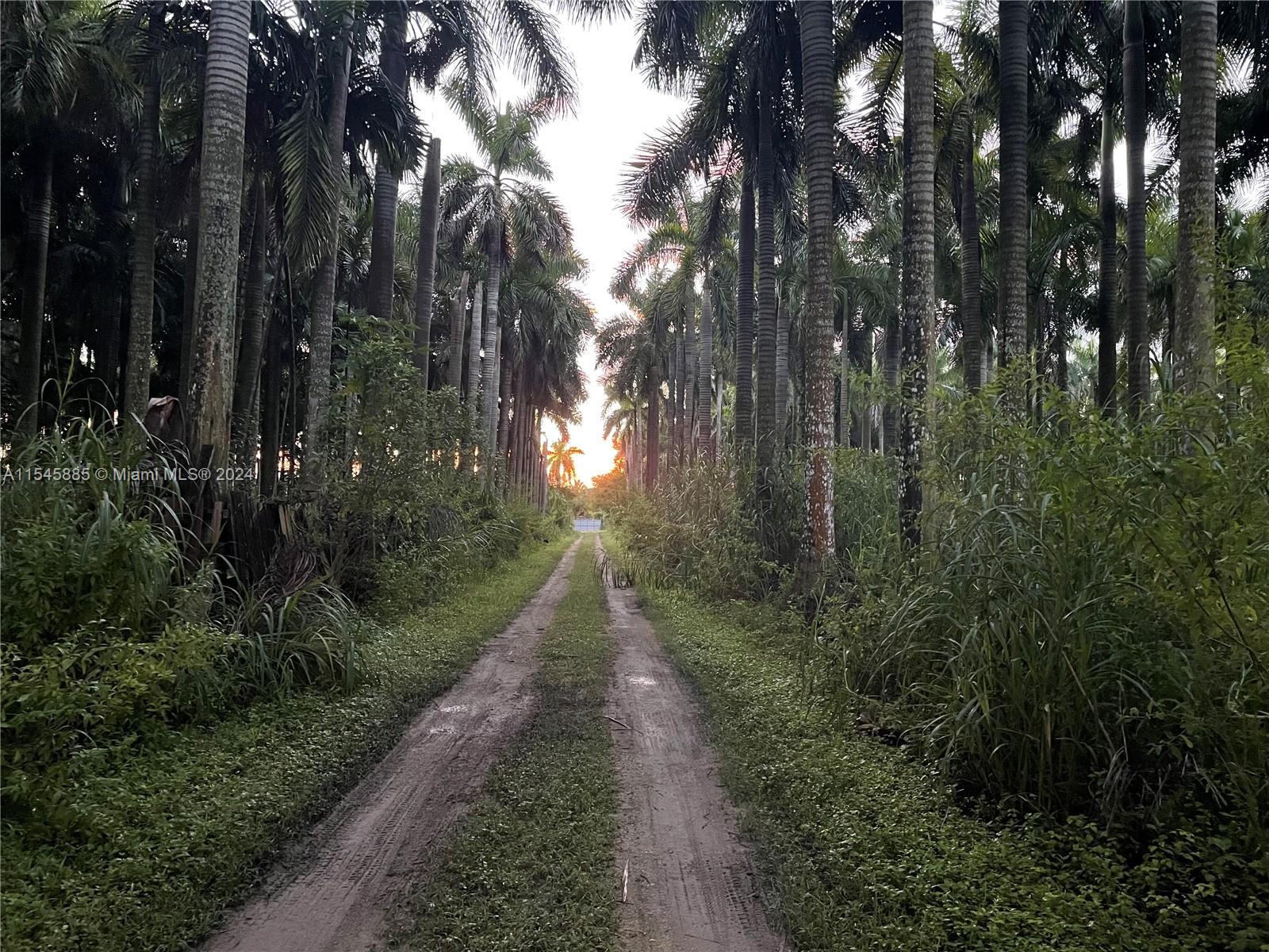 15200 SW 197th Avenue, Miami, Florida 33187, ,Land,For Sale,15200 SW 197th Avenue,A11545885