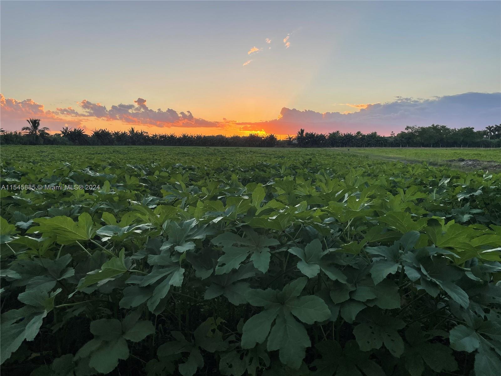 15200 SW 197th Avenue, Miami, Florida 33187, ,Land,For Sale,15200 SW 197th Avenue,A11545885