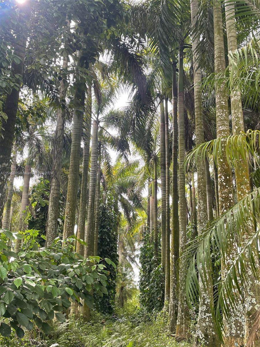 15200 SW 197th Avenue, Miami, Florida 33187, ,Land,For Sale,15200 SW 197th Avenue,A11545885