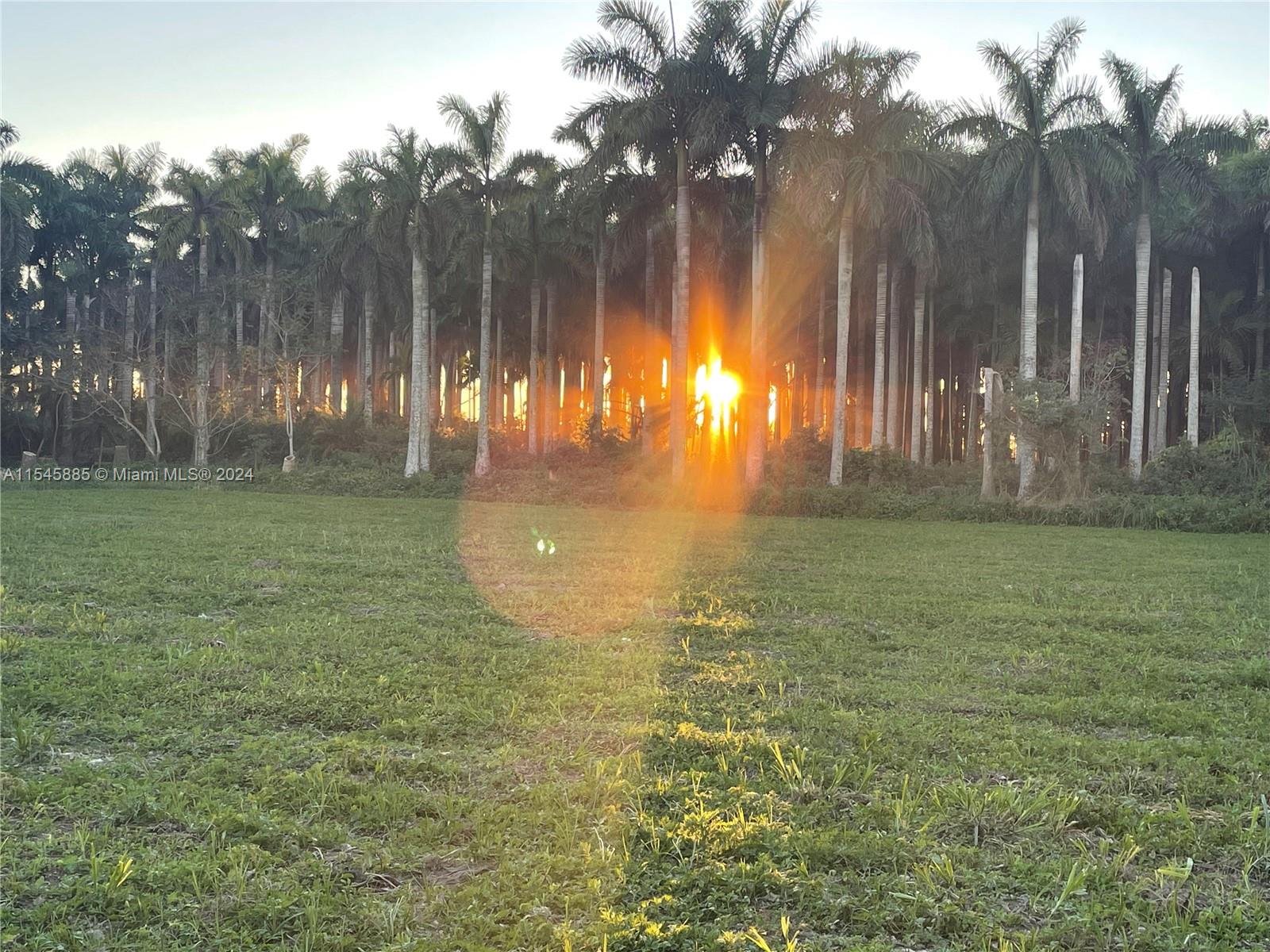 15200 SW 197th Avenue, Miami, Florida 33187, ,Land,For Sale,15200 SW 197th Avenue,A11545885