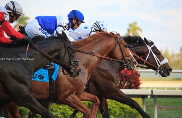 3001 NE 185th St 317, Aventura, Florida 33180, 3 Bedrooms Bedrooms, ,2 BathroomsBathrooms,Residential,For Sale,3001 NE 185th St 317,A11546038