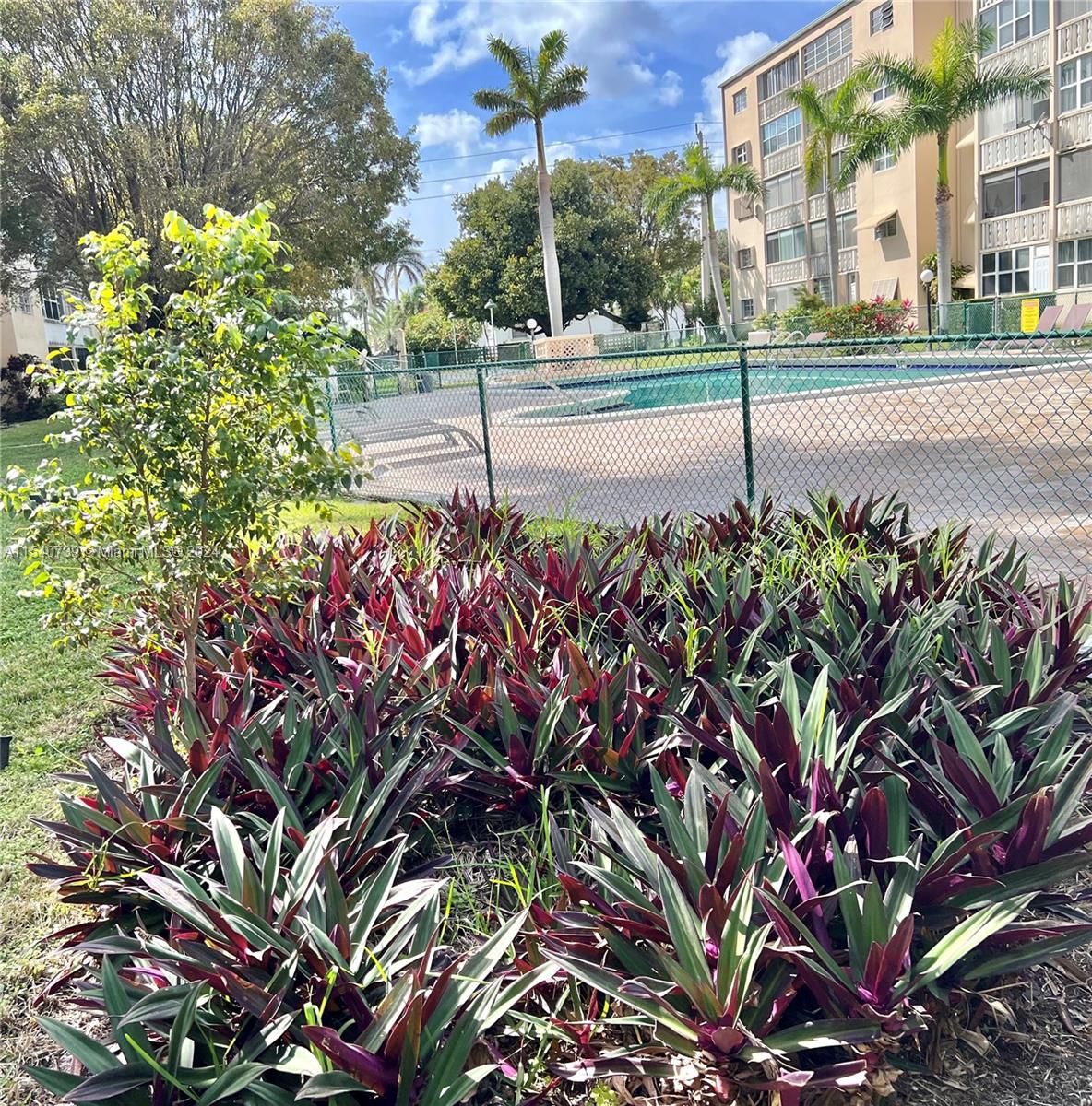 219 NE 14th Ave 401, Hallandale Beach, Florida 33009, 2 Bedrooms Bedrooms, ,2 BathroomsBathrooms,Residential,For Sale,219 NE 14th Ave 401,A11540739