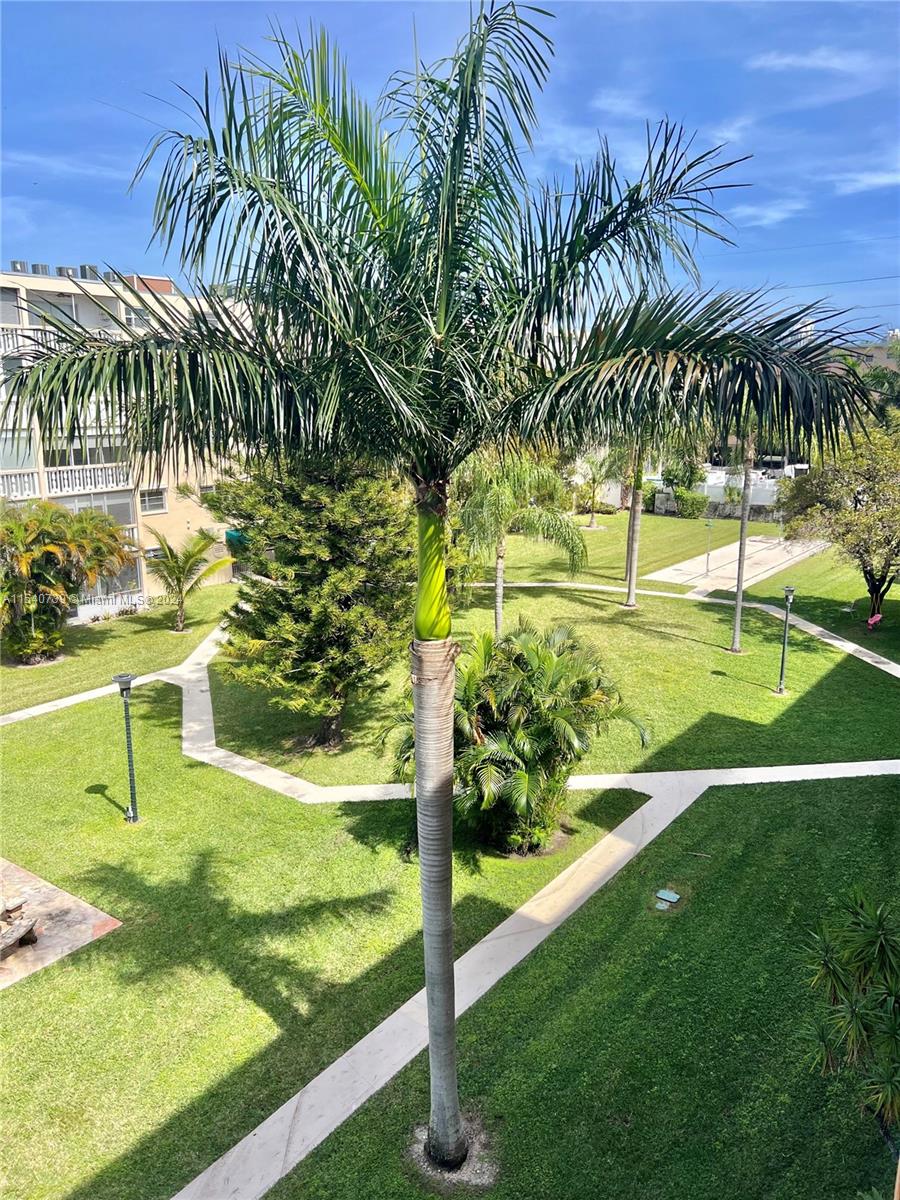 Beautiful view from unit overlooking expansive community courtyard, mature palm trees and lush landscaping.