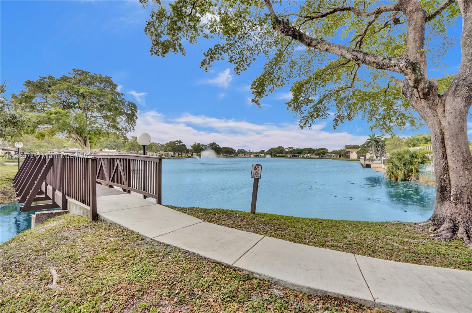 Walking Path & Bridge