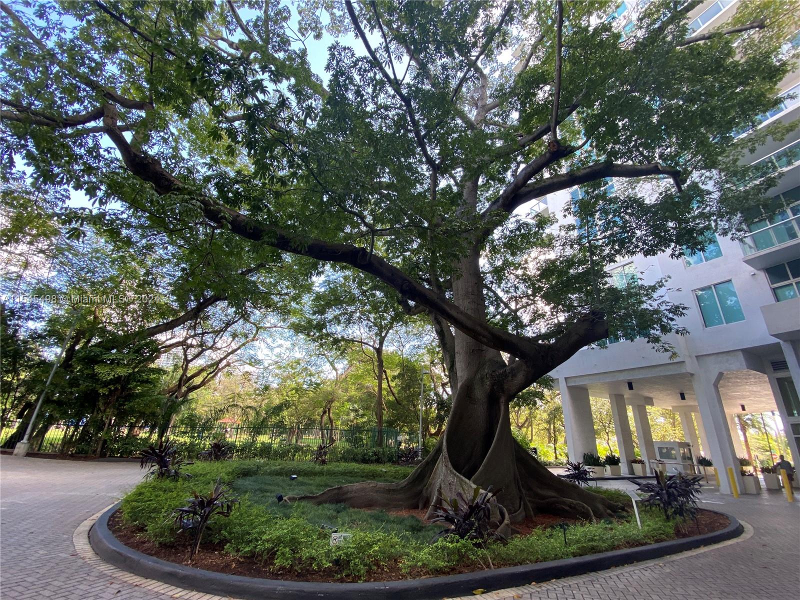 1861 NW S River Dr 2102, Miami, Florida 33125, 1 Bedroom Bedrooms, ,1 BathroomBathrooms,Residential,For Sale,1861 NW S River Dr 2102,A11545498