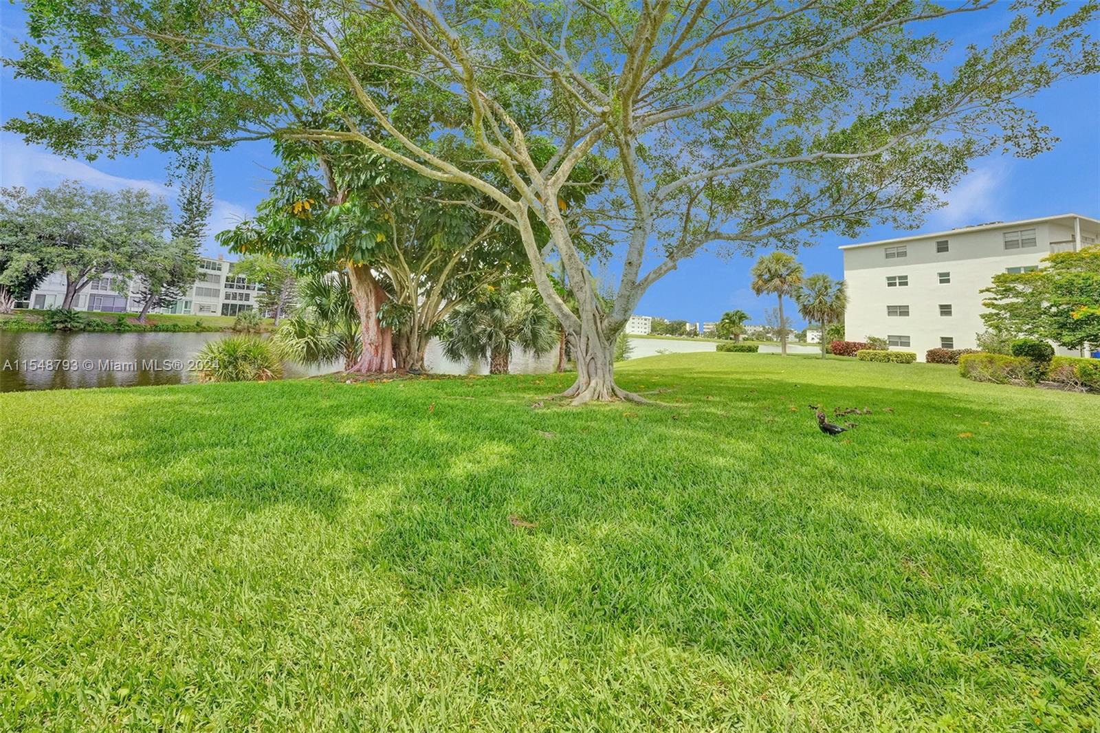 220 Westbury L, Deerfield Beach, FL, 33442 United States, 2 Bedrooms Bedrooms, ,1 BathroomBathrooms,Residential,For Sale,Westbury L,A11548793