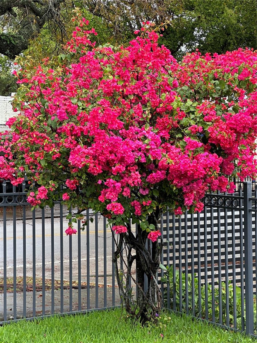 920 NW 46th St, Miami, Florida 33127, 3 Bedrooms Bedrooms, ,3 BathroomsBathrooms,Residential,For Sale,920 NW 46th St,A11547613