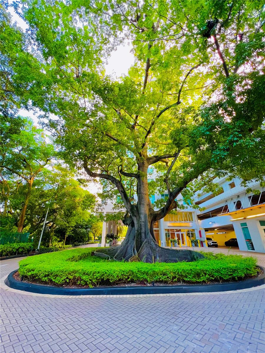 1861 NW South River Dr PH 02, Miami, Florida 33125, 2 Bedrooms Bedrooms, ,2 BathroomsBathrooms,Residential,For Sale,1861 NW South River Dr PH 02,A11549071