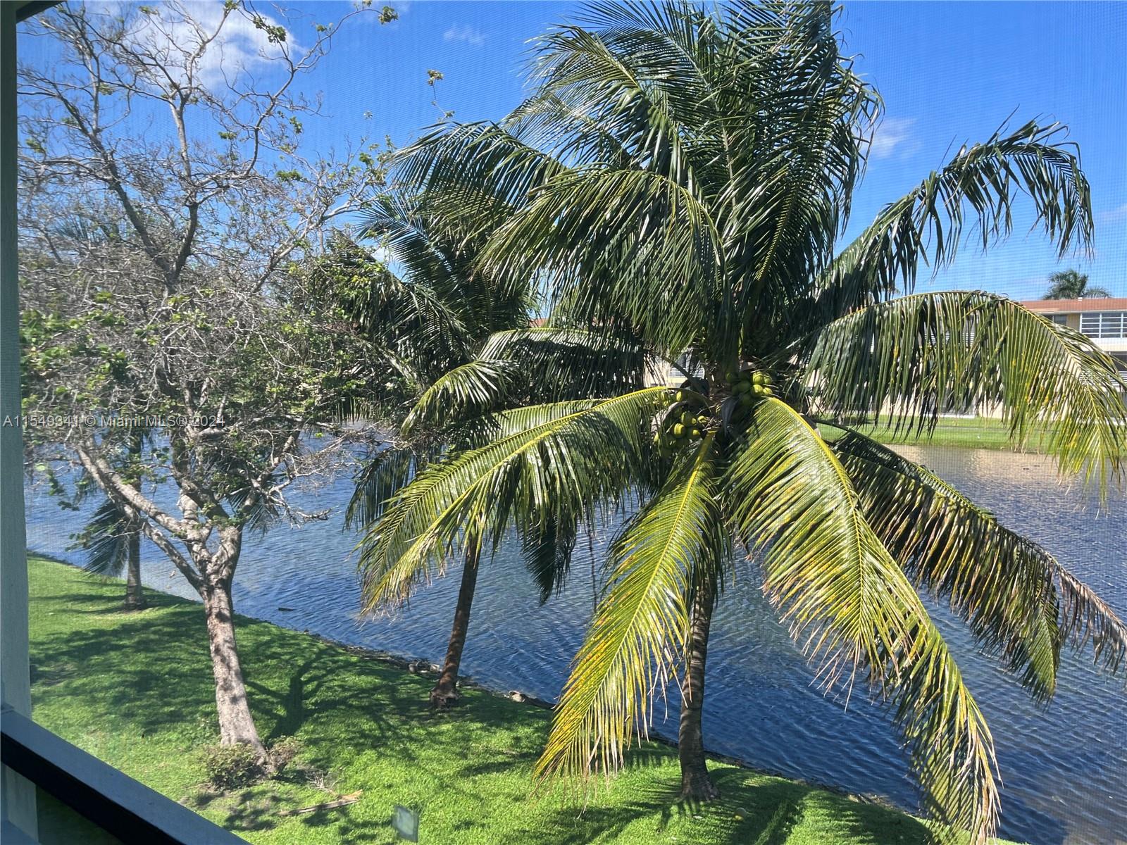 2825 NE 201st Ter M217, Aventura, Florida 33180, 1 Bedroom Bedrooms, ,1 BathroomBathrooms,Residential,For Sale,2825 NE 201st Ter M217,A11549341