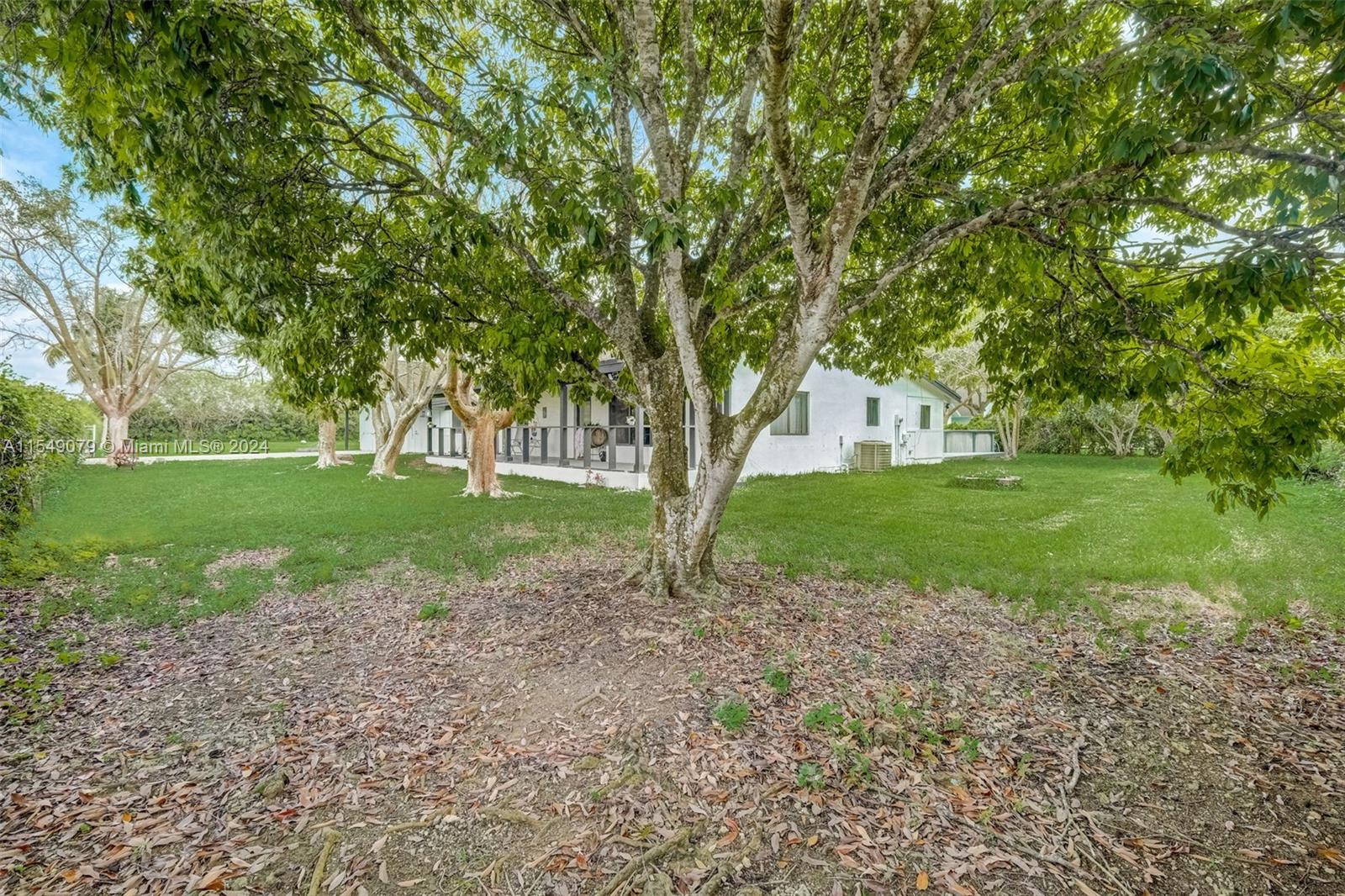 32595 SW 202nd Ave, Homestead, Florida 33030, 3 Bedrooms Bedrooms, ,2 BathroomsBathrooms,Residential,For Sale,32595 SW 202nd Ave,A11549079