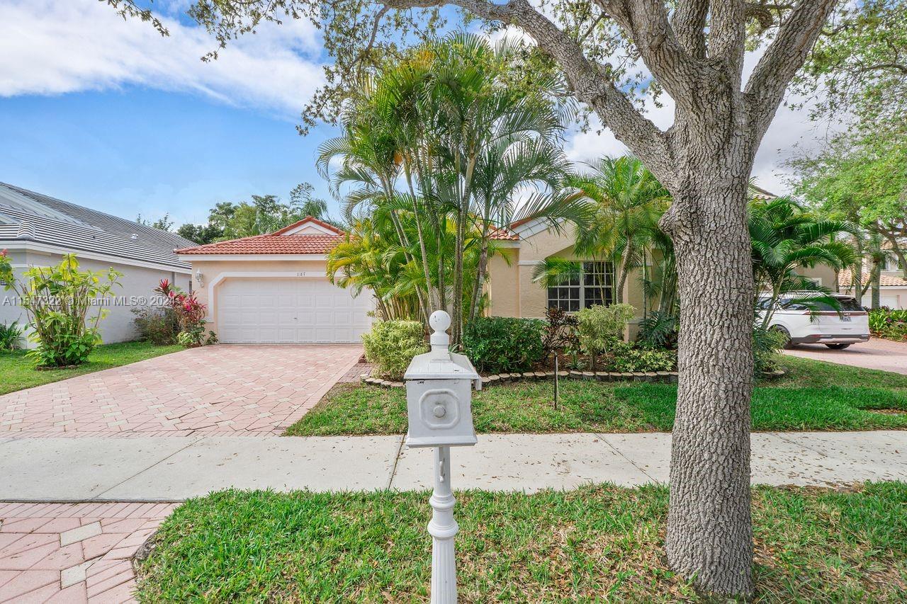 1187 Cedar Falls Dr, Weston, FL, 33327 United States, 4 Bedrooms Bedrooms, ,2 BathroomsBathrooms,Residential,For Sale,Cedar Falls Dr,A11547322