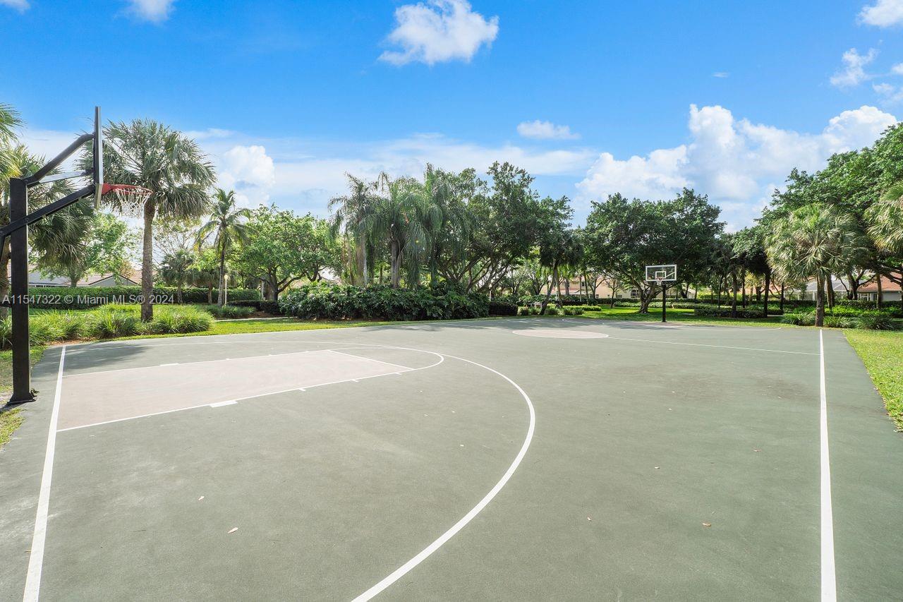 Basket Ball Court
