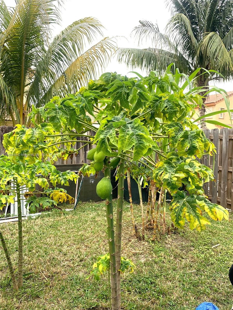 23902 SW 107th Ct, Homestead, Florida 33032, 5 Bedrooms Bedrooms, ,3 BathroomsBathrooms,Residential,For Sale,23902 SW 107th Ct,A11550446