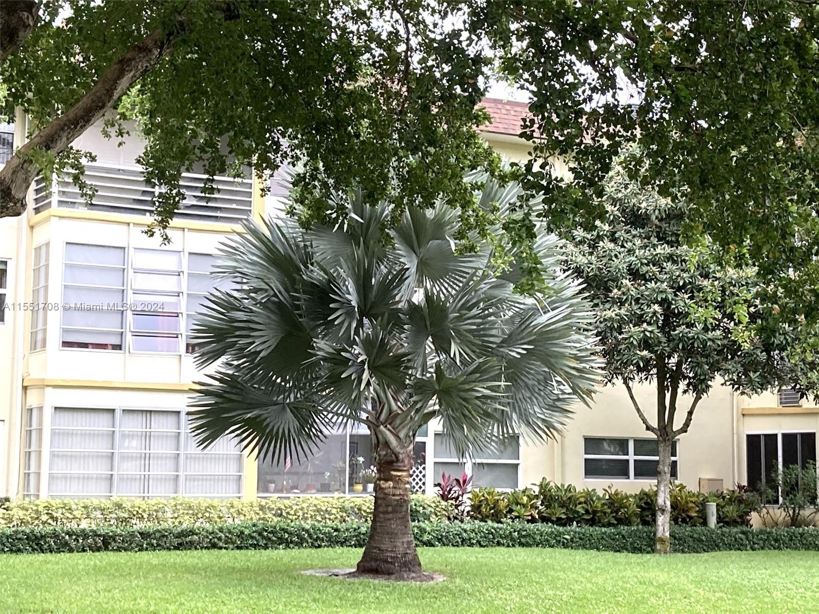 5111 Oakland Park Blvd, Lauderdale Lakes, FL, 33313 United States, 1 Bedroom Bedrooms, ,1 BathroomBathrooms,Residential,For Sale,Oakland Park Blvd,A11551708
