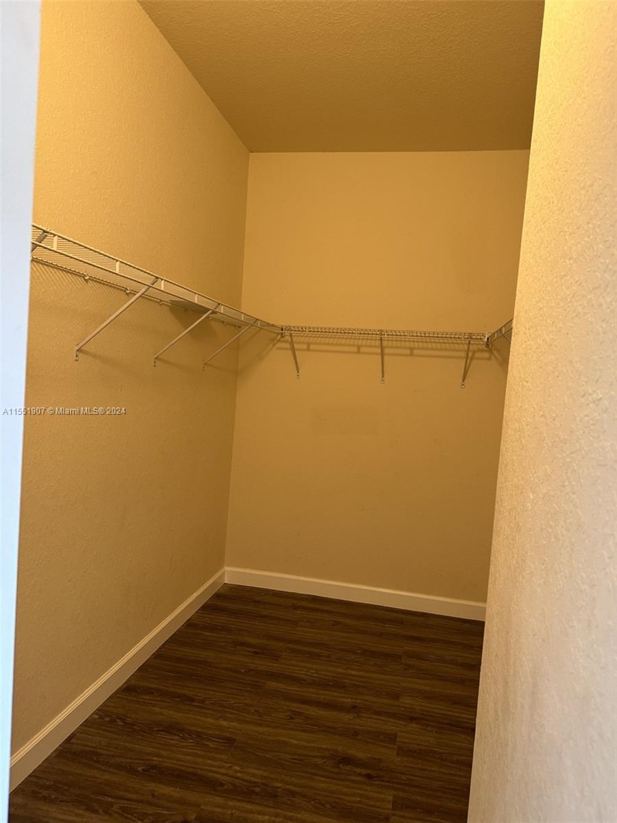 Walk-in closet in master bedroom