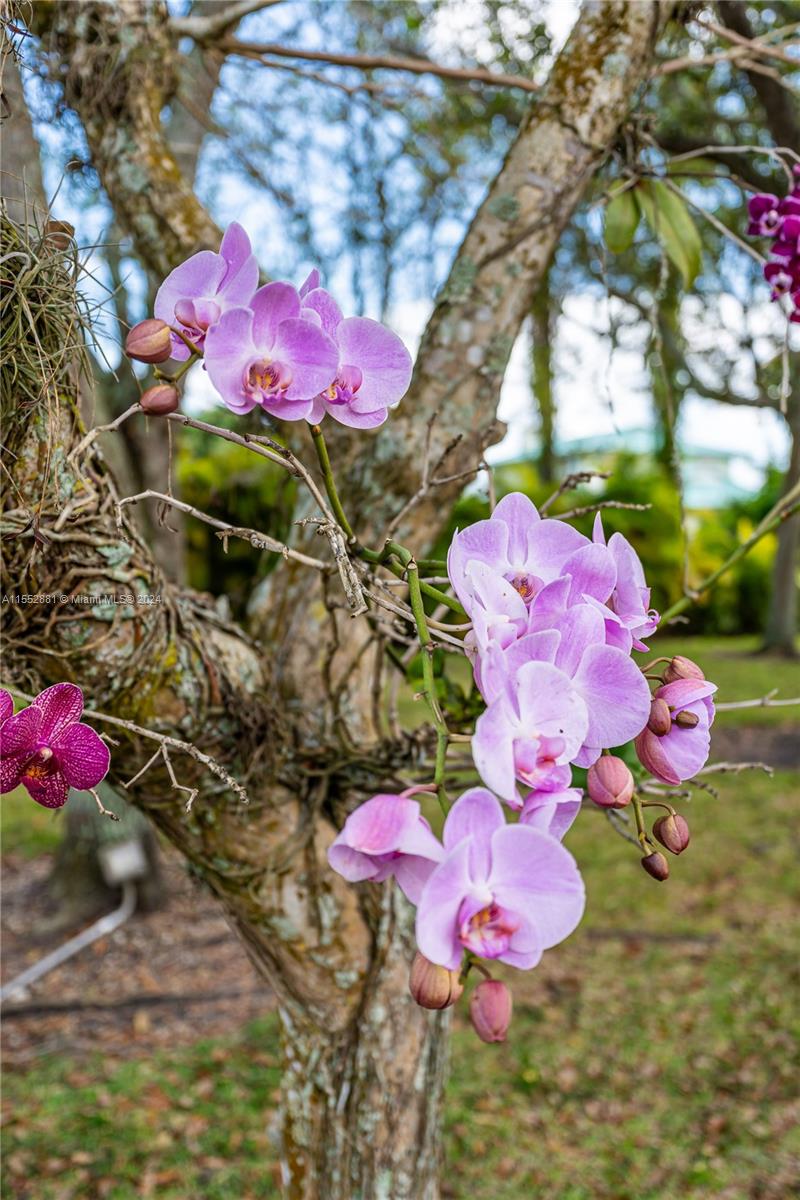 18500 SW 206th St, Miami, Florida 33187, 4 Bedrooms Bedrooms, ,4 BathroomsBathrooms,Residential,For Sale,18500 SW 206th St,A11552881