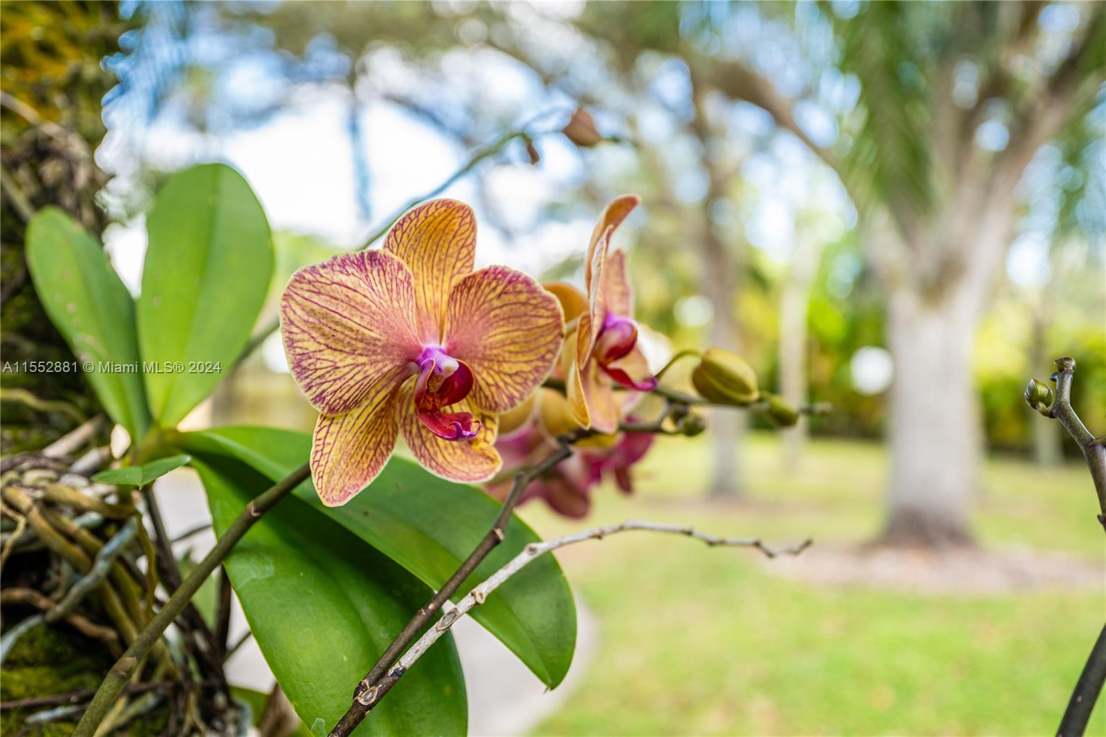 18500 SW 206th St, Miami, Florida 33187, 4 Bedrooms Bedrooms, ,4 BathroomsBathrooms,Residential,For Sale,18500 SW 206th St,A11552881