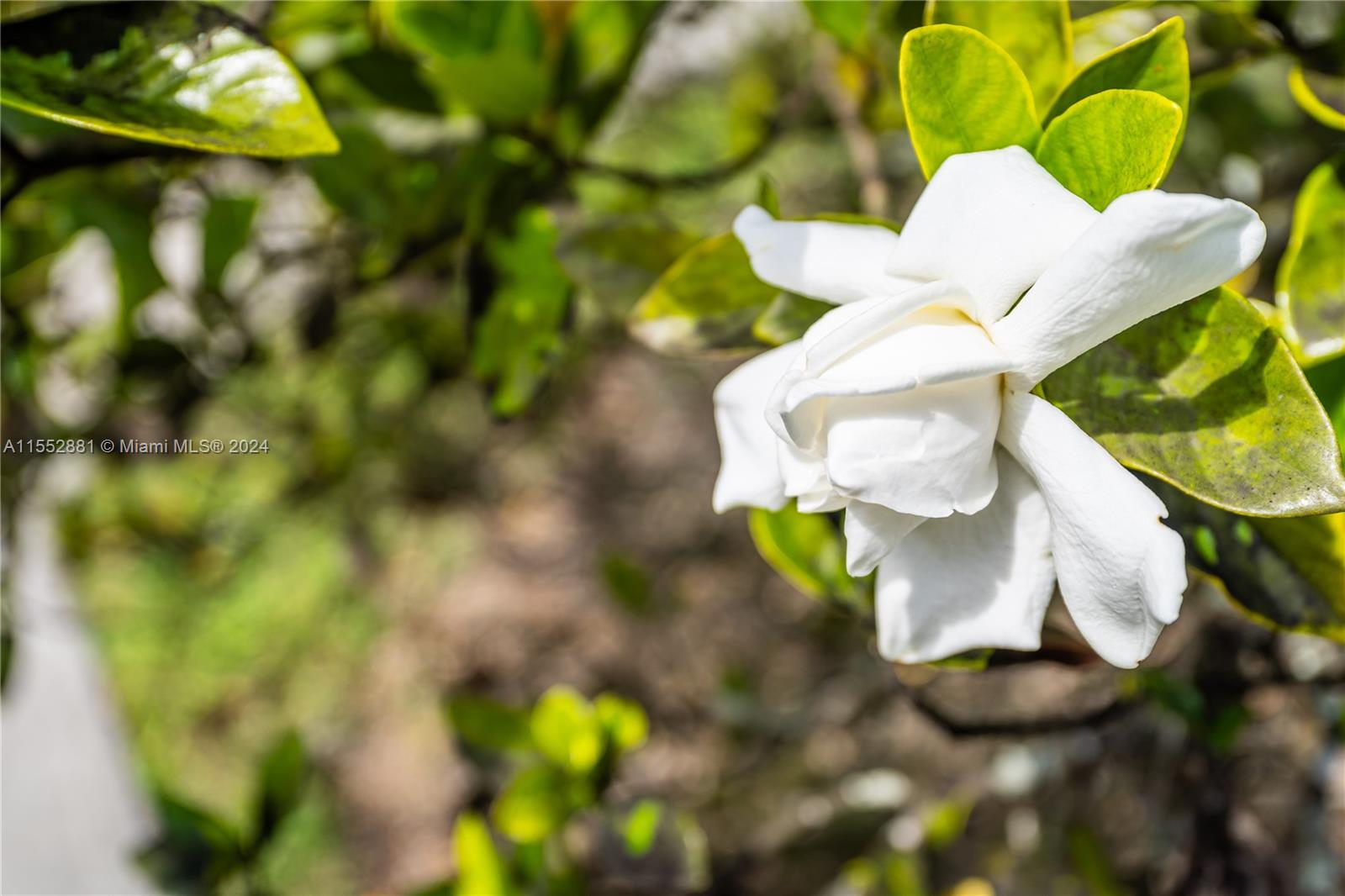 18500 SW 206th St, Miami, Florida 33187, 4 Bedrooms Bedrooms, ,4 BathroomsBathrooms,Residential,For Sale,18500 SW 206th St,A11552881