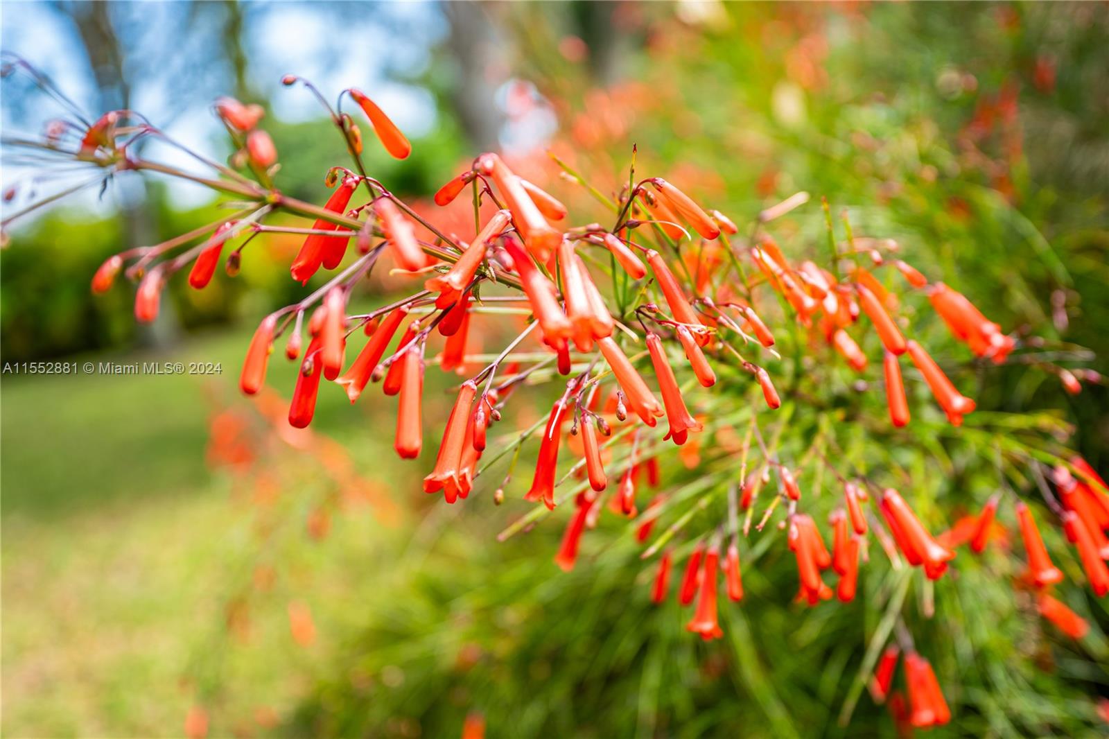 18500 SW 206th St, Miami, Florida 33187, 4 Bedrooms Bedrooms, ,4 BathroomsBathrooms,Residential,For Sale,18500 SW 206th St,A11552881