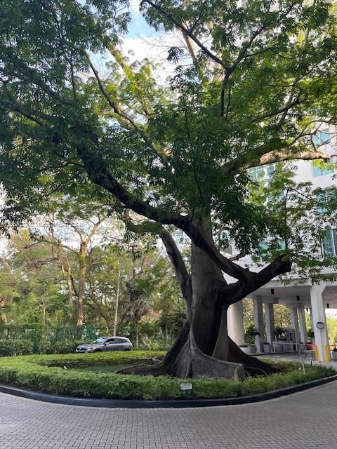 1861 NW S River Dr 1403, Miami, Florida 33125, 2 Bedrooms Bedrooms, ,2 BathroomsBathrooms,Residential,For Sale,1861 NW S River Dr 1403,A11553022