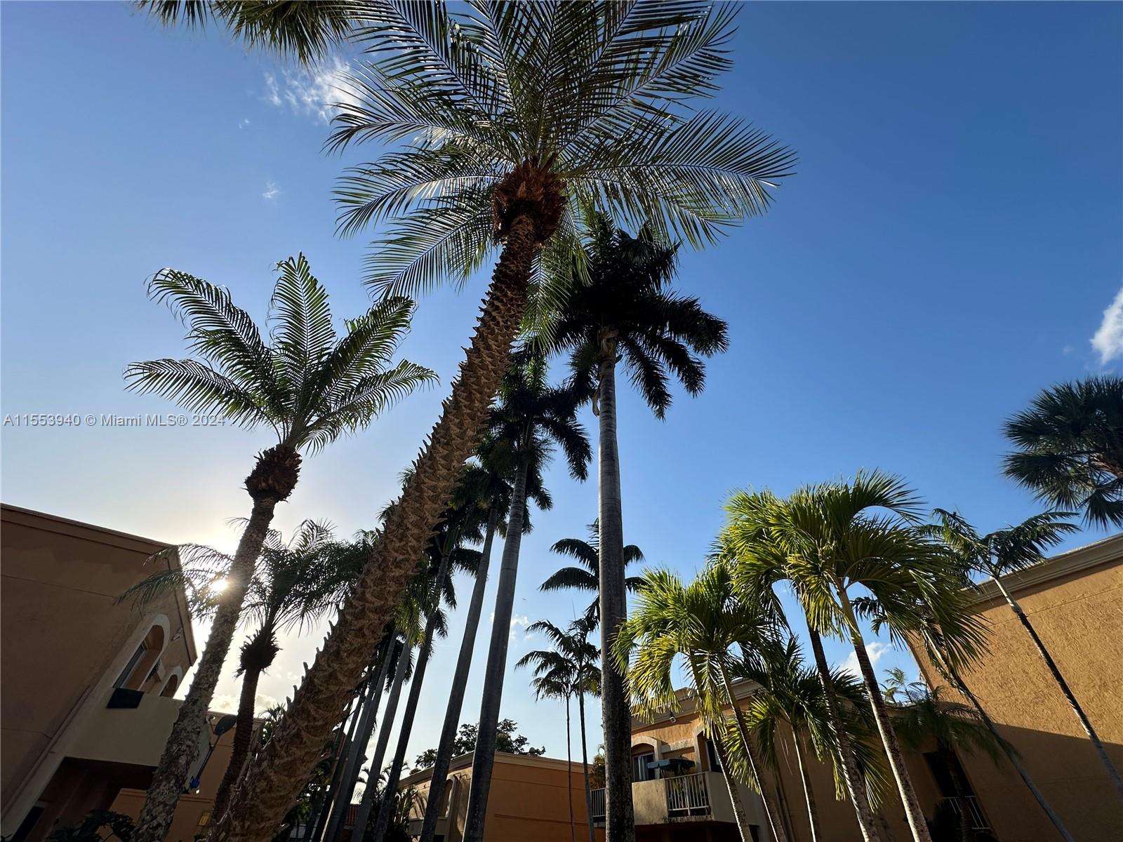 17911 NW 68th Ave M206, Hialeah, Florida 33015, 2 Bedrooms Bedrooms, ,2 BathroomsBathrooms,Residential,For Sale,17911 NW 68th Ave M206,A11553940