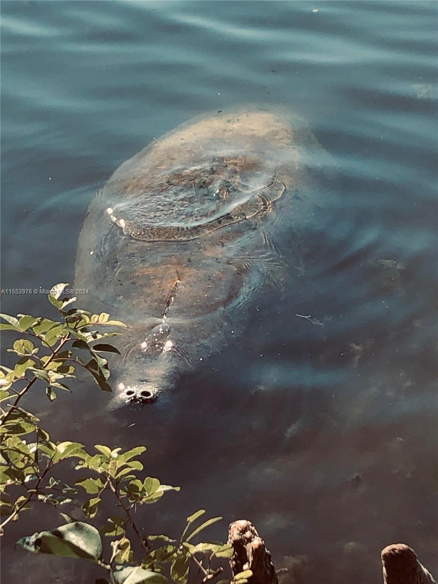 117 N 31st Ave, Hollywood, Florida 33021, 3 Bedrooms Bedrooms, ,2 BathroomsBathrooms,Residential,For Sale,117 N 31st Ave,A11553976