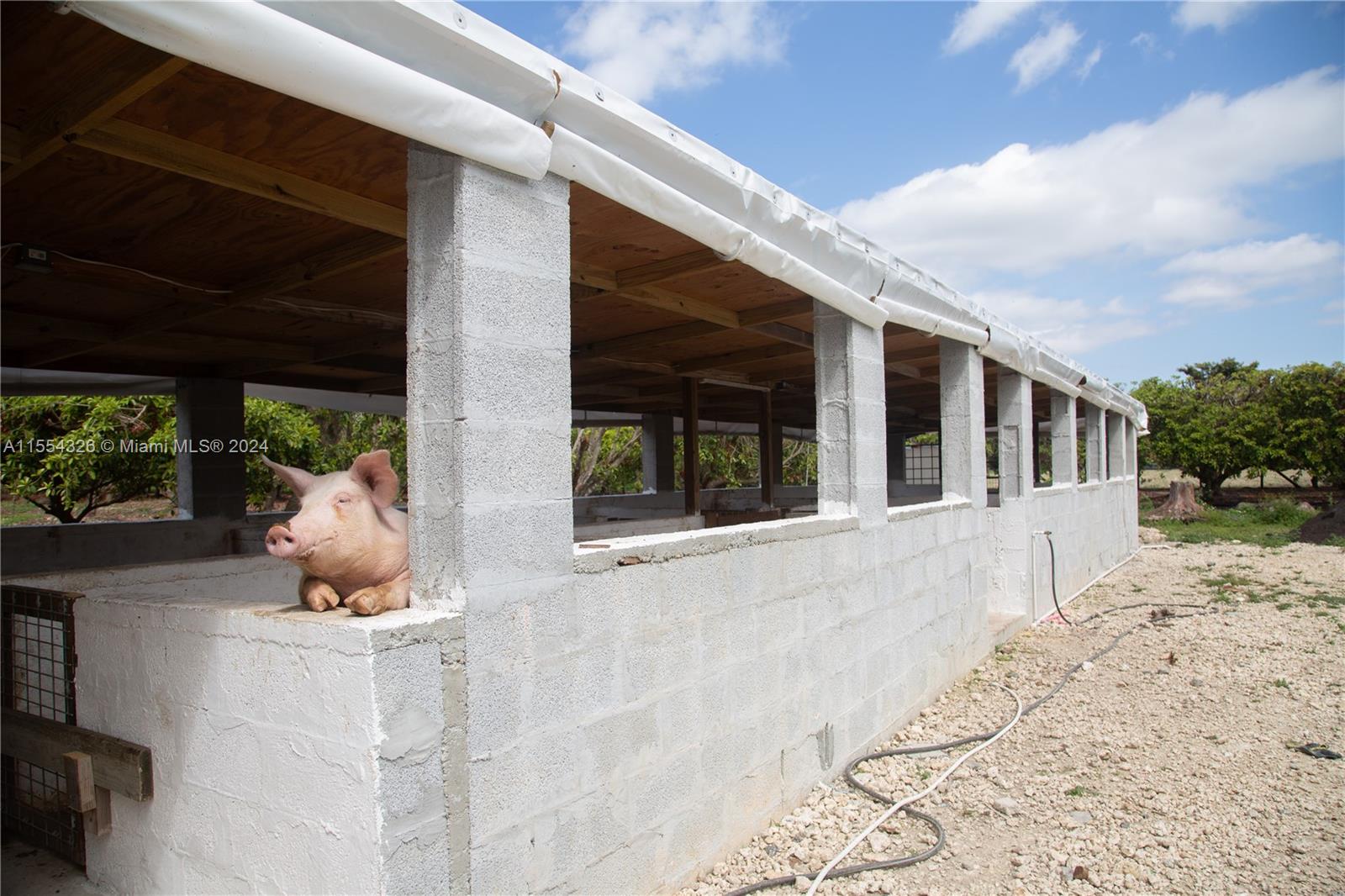 25420 SW 224th Ave, Homestead, Florida 33031, 4 Bedrooms Bedrooms, ,3 BathroomsBathrooms,Residential,For Sale,25420 SW 224th Ave,A11554326