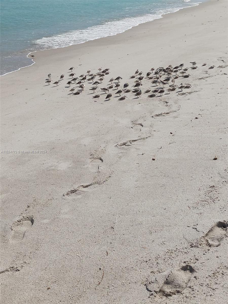 421 SE 10th St A103, Dania Beach, Florida 33004, 2 Bedrooms Bedrooms, ,2 BathroomsBathrooms,Residential,For Sale,421 SE 10th St A103,A11554773