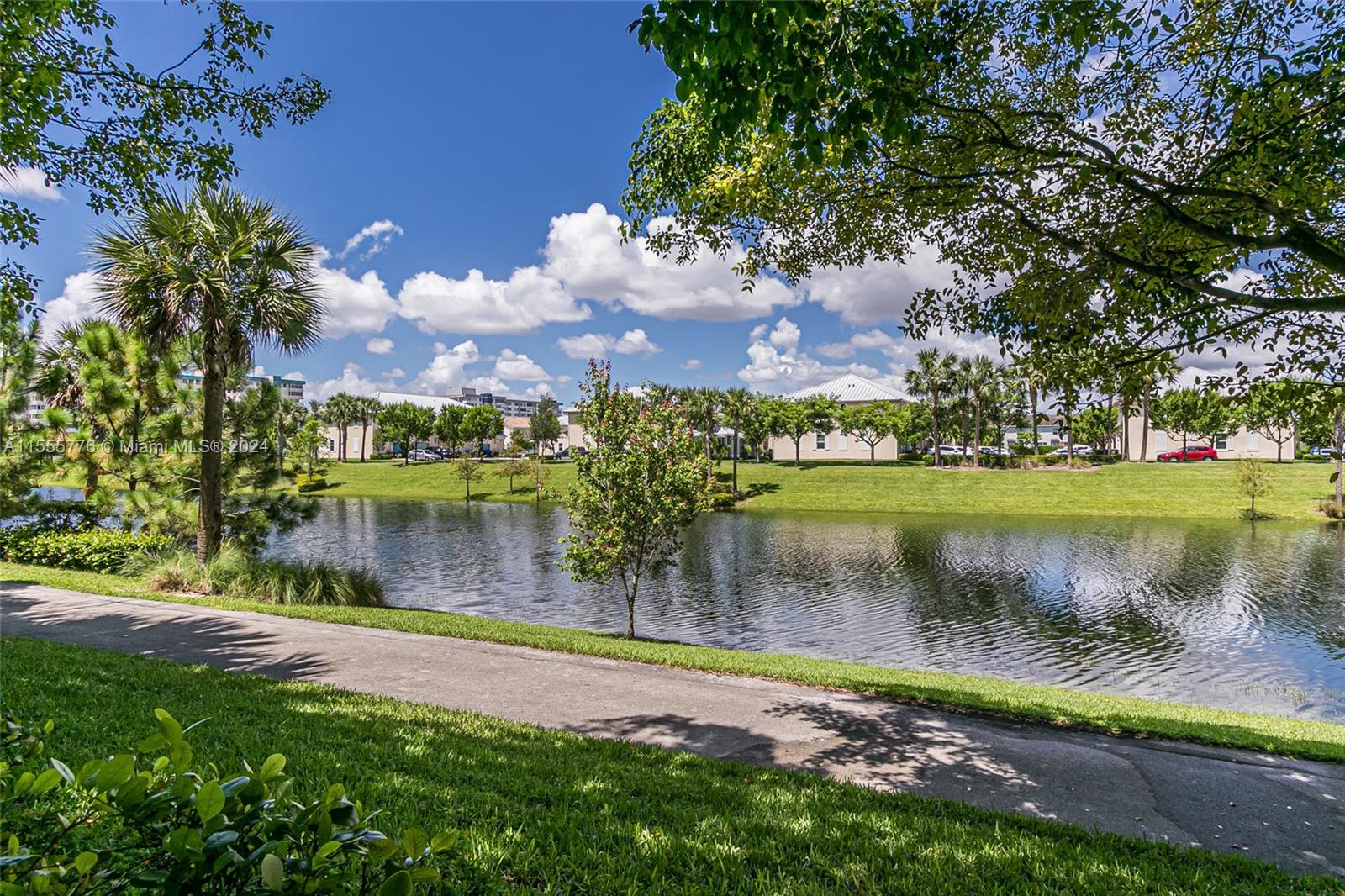 View from the  Patio