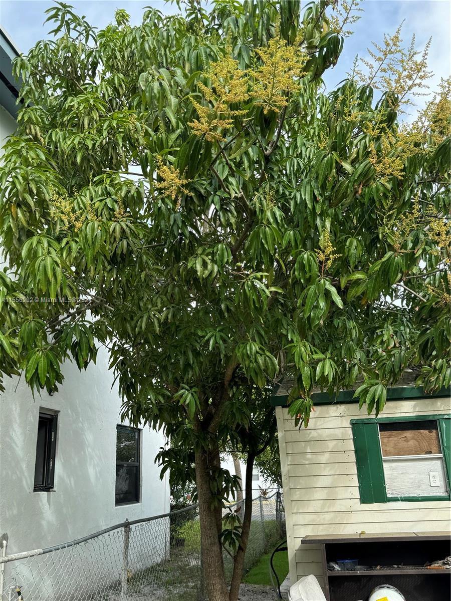 713 SW 7th St, Dania Beach, Florida 33004, 3 Bedrooms Bedrooms, ,1 BathroomBathrooms,Residential,For Sale,713 SW 7th St,A11556202