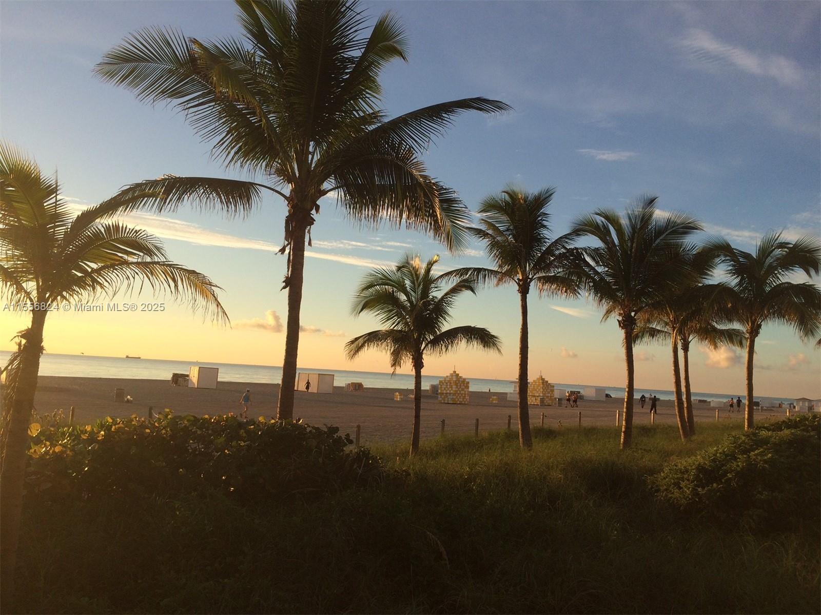 100 Lincoln Rd 1126, Miami Beach, Florida 33139, 1 Bedroom Bedrooms, ,1 BathroomBathrooms,Residentiallease,For Rent,100 Lincoln Rd 1126,A11556824