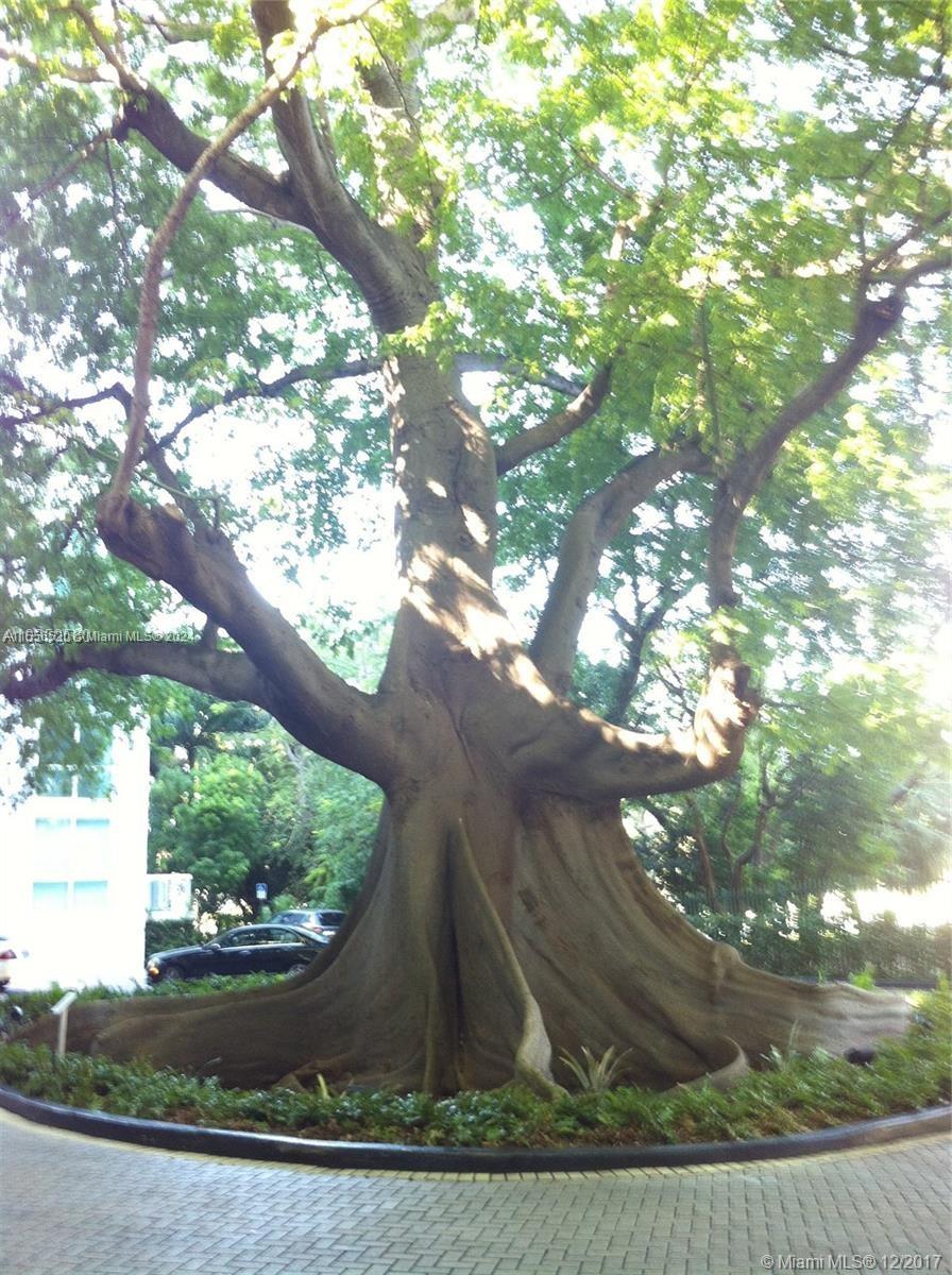 1861 NW S River Dr 2601, Miami, Florida 33125, 2 Bedrooms Bedrooms, ,2 BathroomsBathrooms,Residential,For Sale,1861 NW S River Dr 2601,A11556520