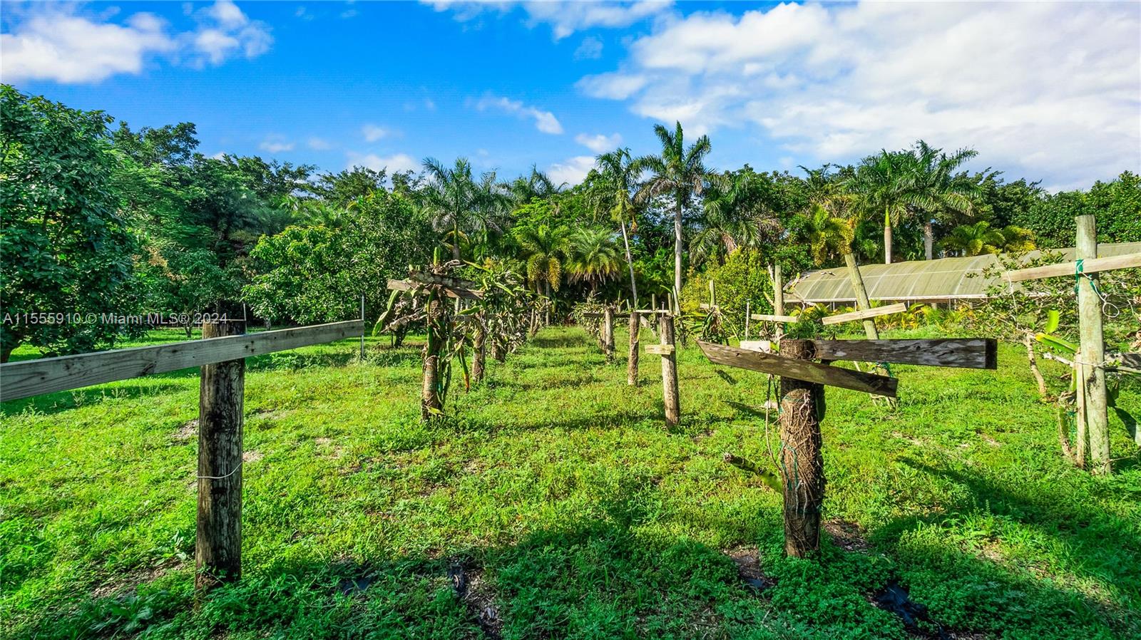20551 SW 162nd Ave, Miami, Florida 33187, 10 Bedrooms Bedrooms, ,10 BathroomsBathrooms,Residential,For Sale,20551 SW 162nd Ave,A11555910