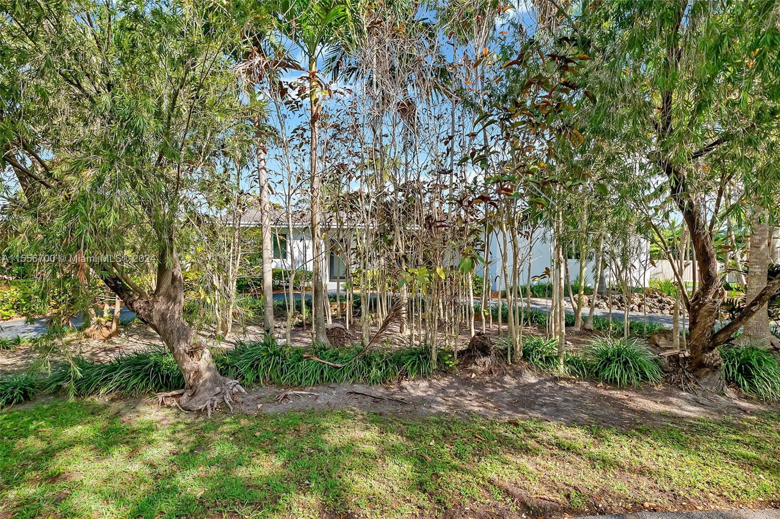 7511 SW 172nd St, Palmetto Bay, Florida 33157, 3 Bedrooms Bedrooms, ,2 BathroomsBathrooms,Residential,For Sale,7511 SW 172nd St,A11556700