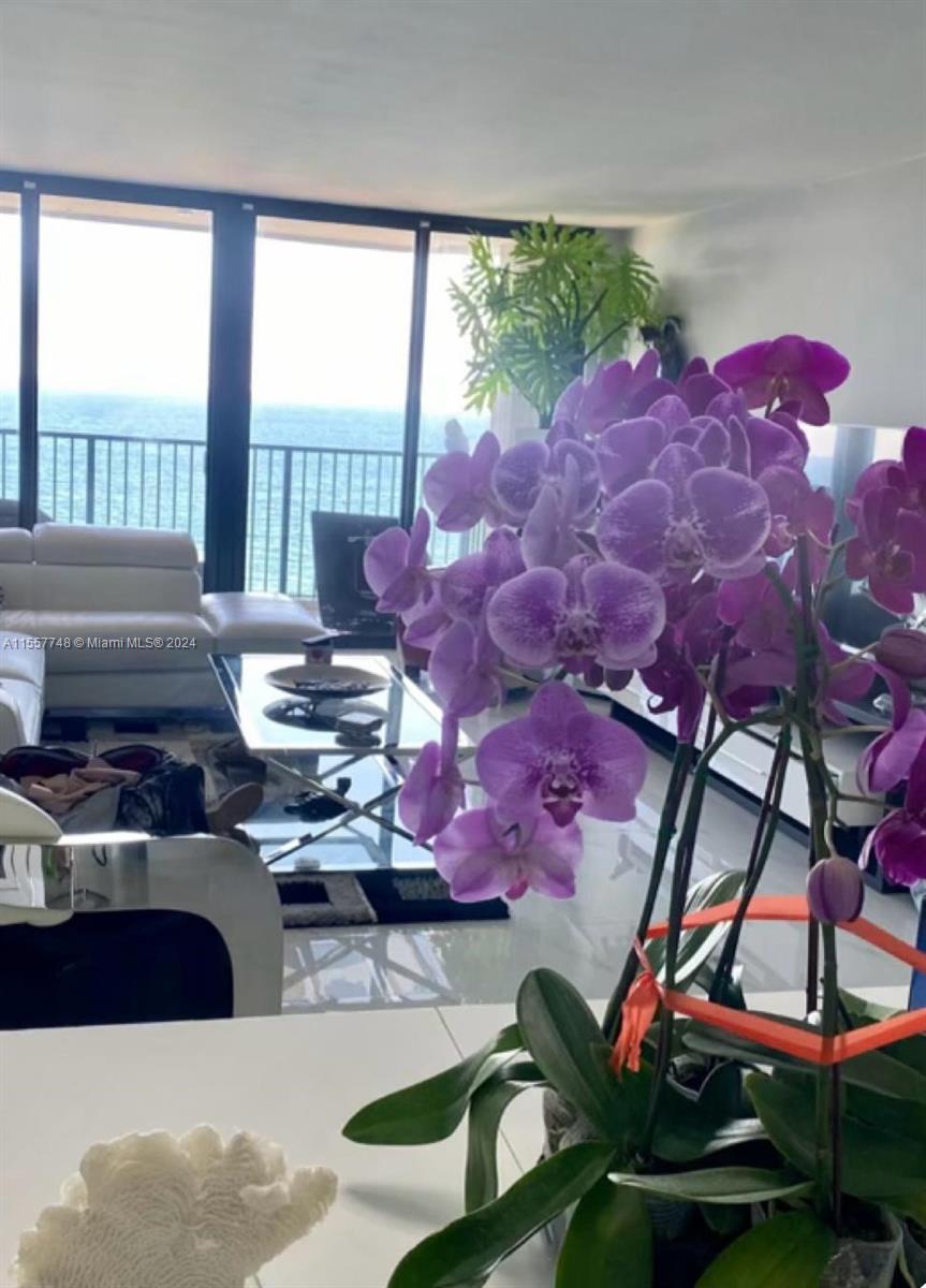 2201 S Ocean Dr 1702, Hollywood, Florida 33019, 1 Bedroom Bedrooms, ,1 BathroomBathrooms,Residentiallease,For Rent,2201 S Ocean Dr 1702,A11557748