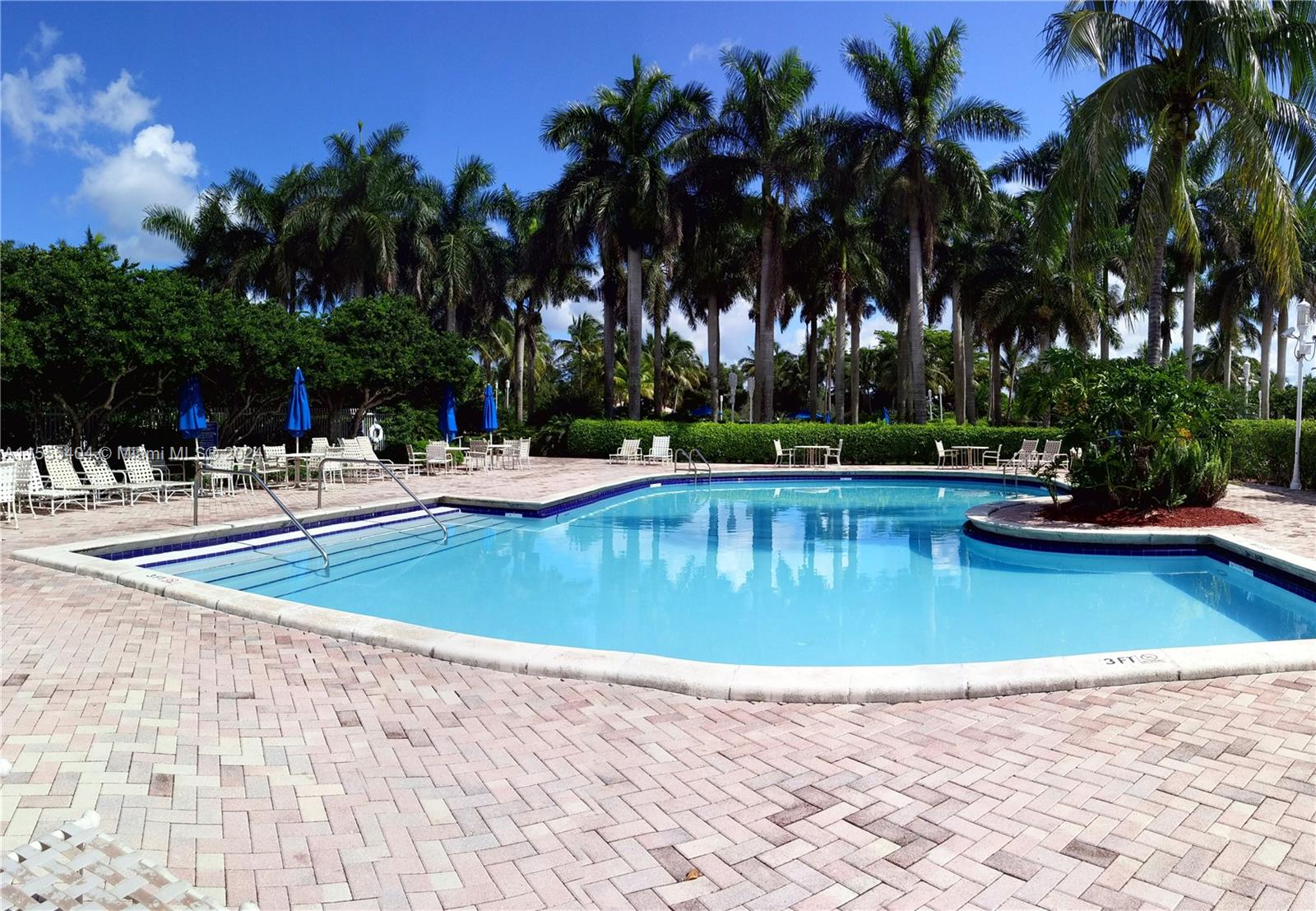 Family Pool